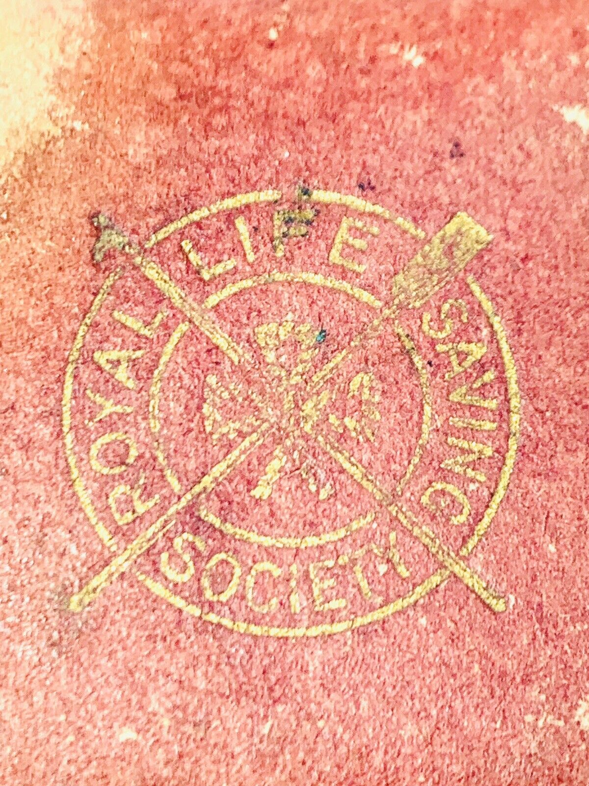 Picture 3 of 16