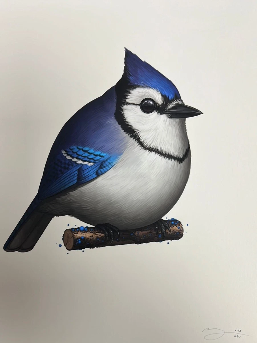Fat Bird - 2022 Mike Mitchell poster Blue Jay II | eBay