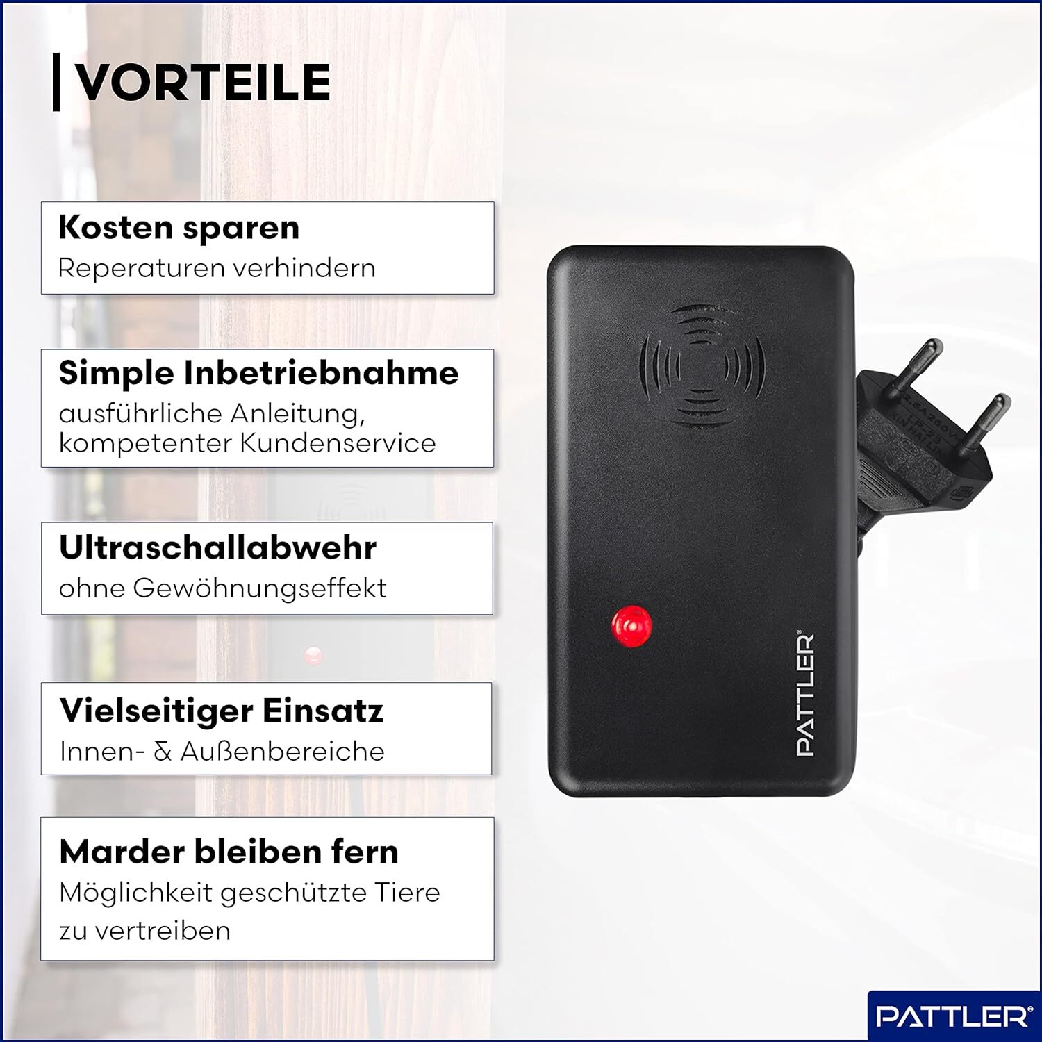 Bild 3 von 10