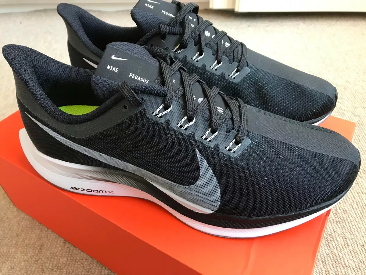 pegasus trainers