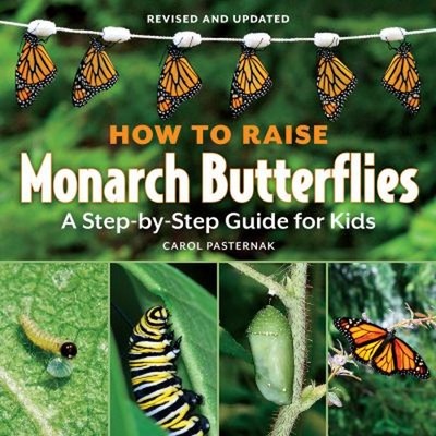 How to Raise Monarch Butterflies : A Step-by-Step Guide for Kids