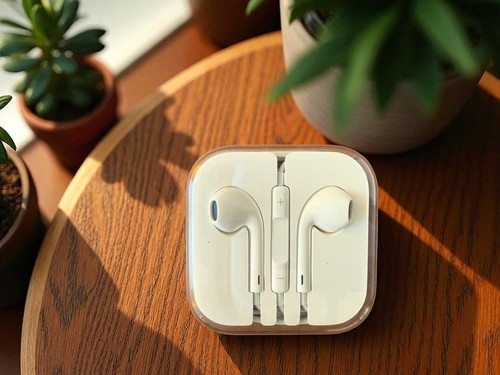 Apple Earbuds / AirPods Wired with Lightening Connector - 第 1/2 張圖片