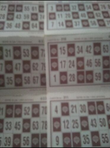24 Cartones de bingo  - Imagen 1 de 1