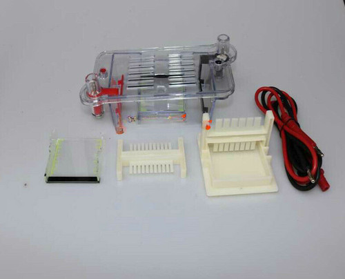 122-3122 27022 Horizontal Electrophoresis Tank High School Biological Equipment - Afbeelding 4 van 4
