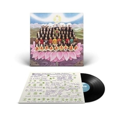 George Harrison - Dark Horse (Vinyl LP - 1974 - EU - Reissue)