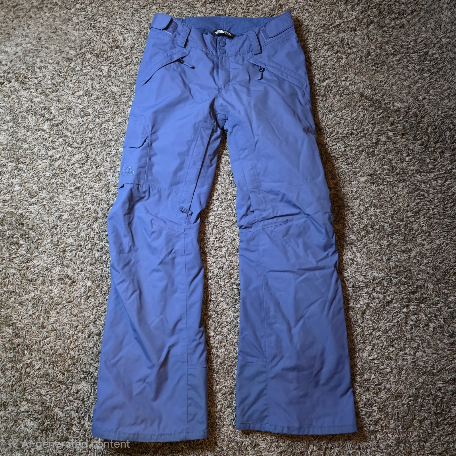 The North Face Women's Freedom Insulated Snowboard Pants Blue Small Regular