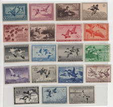 US 1935-1957 COLLECTION OF 19 FEDERAL DUCK HUNTING STAMPS ALL MINT UNSIGNED NG