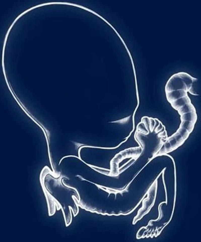 Vinile Nuovo - Sigur Ros - Agaetis Byrjun (2 Lp) -I- Krunk - Imagen 1 de 1