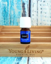 Young Living Panaway 5 ml Essential Oil NEW /SEALED