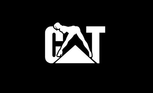 Grumpy Cat Caterpillar CAT Logo "Tradie" Window Decal Sticker Set - White Gloss Vinyl For Ute, Truck, Or Car Cat Diesel Sticker - Foto 4