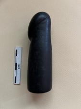 Phallus