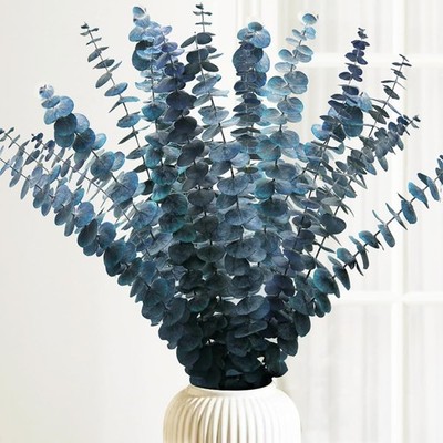 (16Pcs) Preserved-Dried-Eucalyptus-Stems,17'' Real Natural Eucalyptus Plant Live