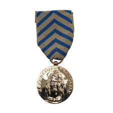G19/02/26 (REF34740) Médaille militaire RECONNAISSANCE NATION FRENCH MEDAL