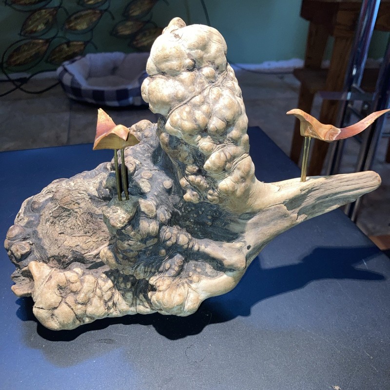 Natural Wood Burl Root Base Seagull Carvings