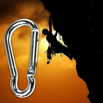 20 Stück D-Form Karabiner Schnalle Snap Spring Clip Haken Schlüsselanhänger