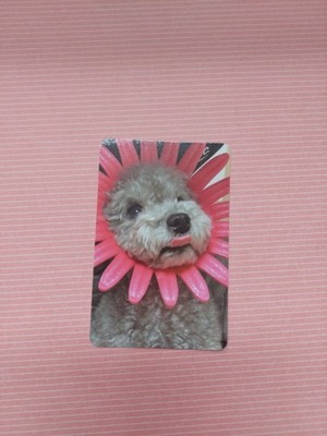 Taeyeon INVU Deluxe Edition Photocard Kpop