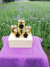BIENENHONIG&nbsp; aus -- BRANDENBURG -- 6X 500g Gl&auml;ser gemischte Sorten in der Kiste.