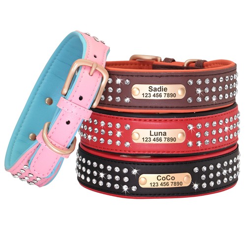 Personalisiert Echtes Leder Hundehalsband Namen Strasshalsband Mittelgroße Hund - Picture 2 of 16