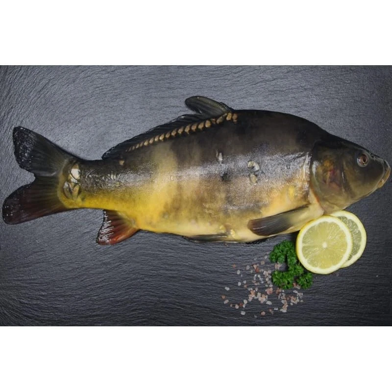 Karpfen | Frisch für Sie geschlachtet | küchenfertig fangfrisch Spiegel Karpfen - Bild 2 von 2