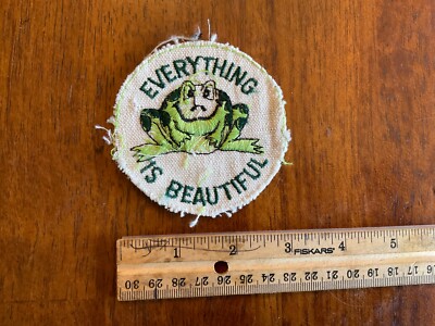 Sew On Patch Everything Is Beautiful Frog