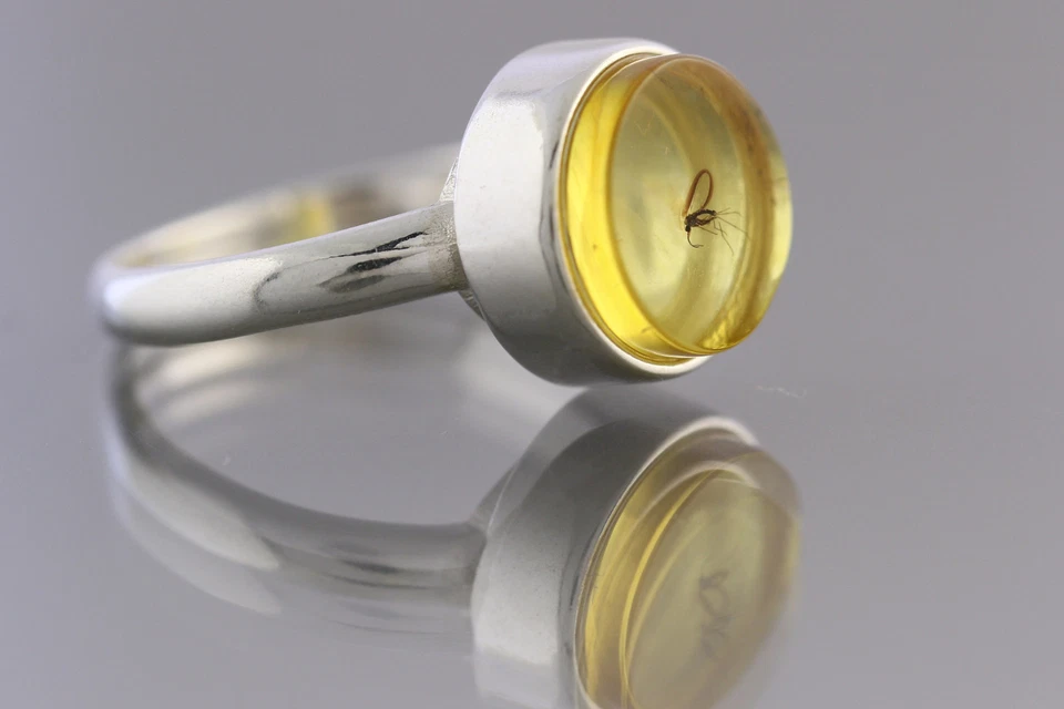 Anillo de plata ajustable ámbar báltico genuino GNAT insecto fósil 3,4 g 181211-3 Foto 2 de 3