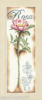   LANARTE 0154334 Rosa Rosa Stickerei Zählkreuzstich Leinen  