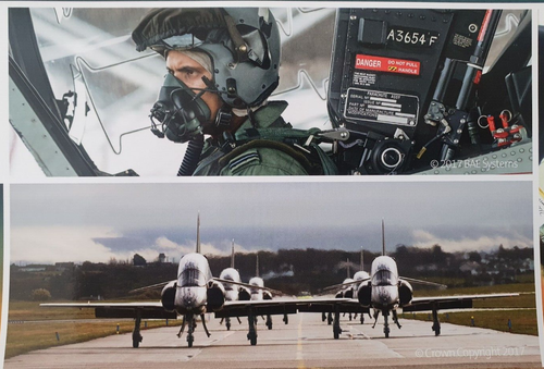Rolls-Royce Adour Engine, Promotional A2 Poster, Red Arrows BAE Hawk, 2017 VGC - Picture 6 of 7