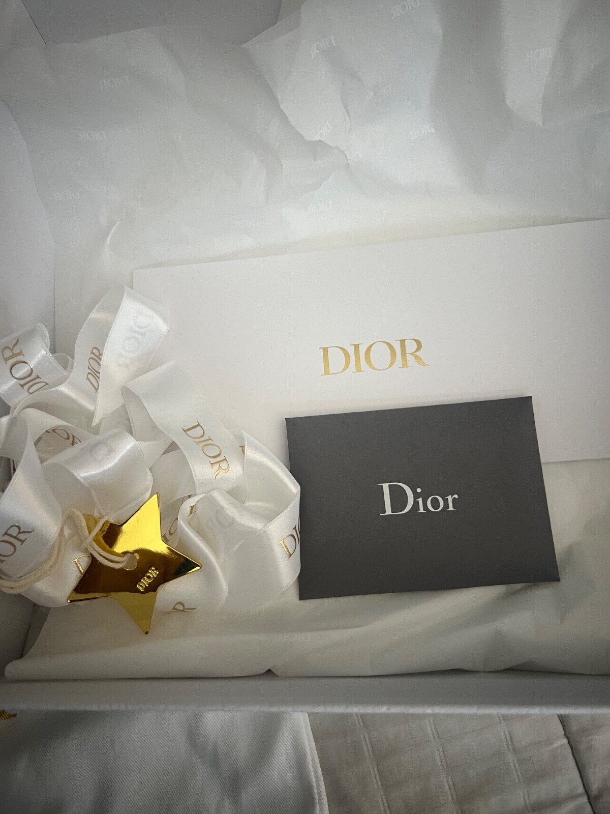 Christian Dior Bobby Flap Bag Calf skin image 7