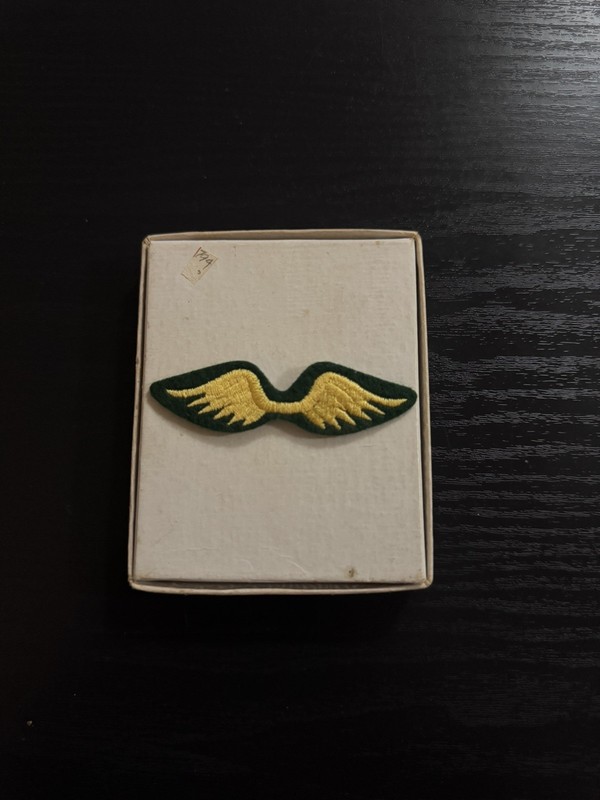 Vintage Brownie Girl Scout Wings Badge Patch, green & gold, 3" wide