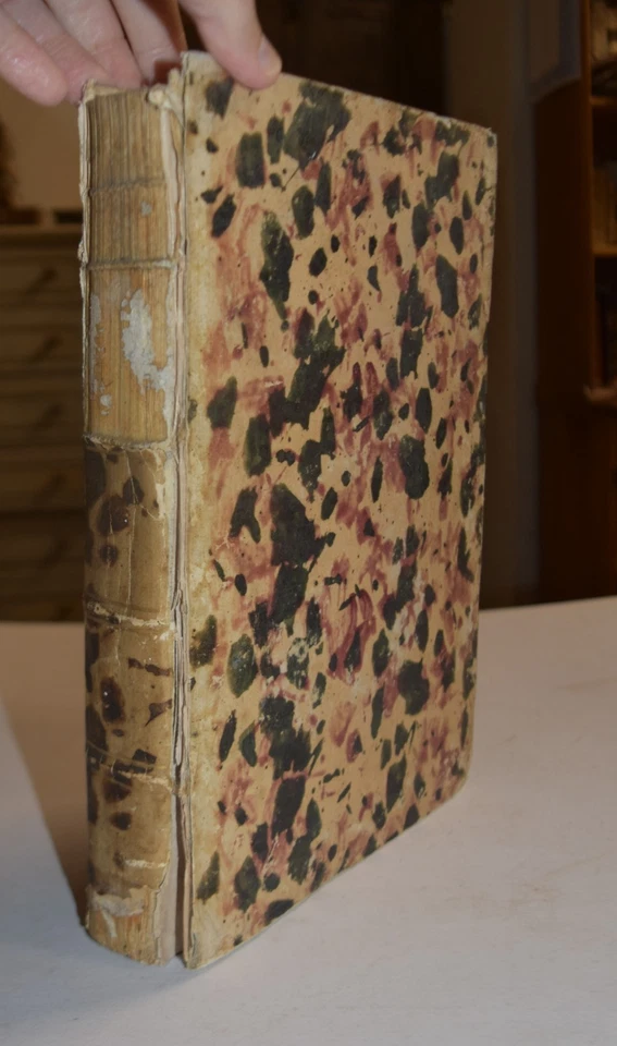 FOSSILI - fig. 1762 - Chambers - botanica - dizionario - Lewis - 19 TAVOLE - Immagine 4 di 4