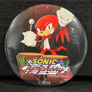 Sonic Symphony | eBay