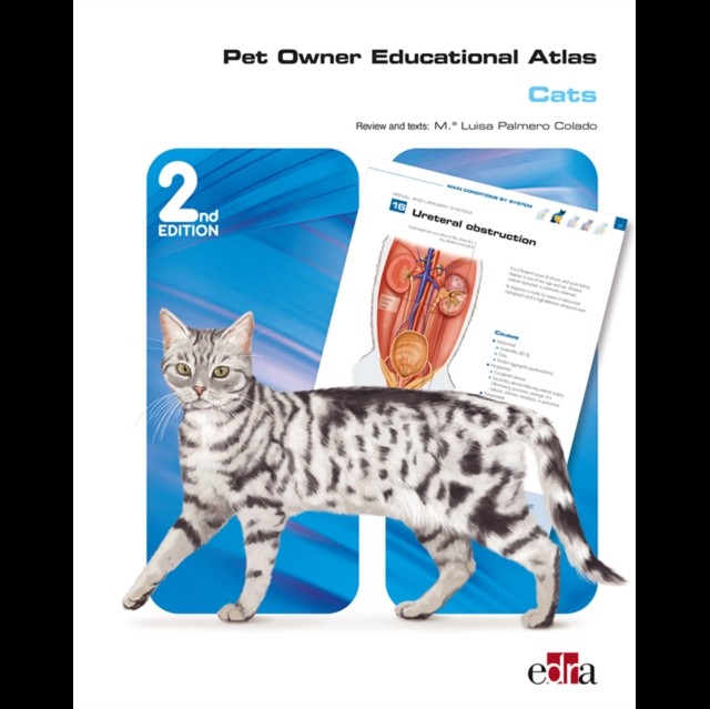 Pet Owner Educational Atlas: Cats -2nd edition by Grupo Asis Biomedia S.L. NEW - Image 3