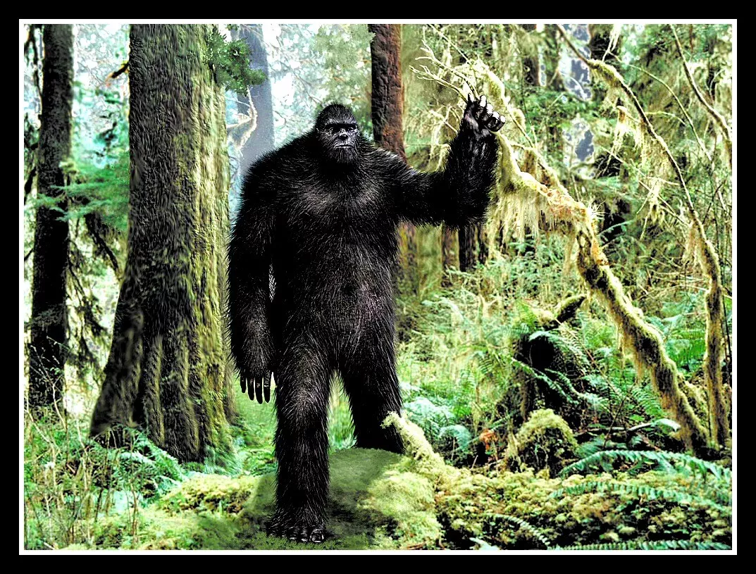 Pacific Nw Bigfoot 