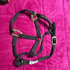 USED- Weaver Leather Basic Non-Adjustable Nylon Horse Halter Black  1" Average