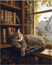 CRZMODE Cat Paint by Numbers Kit for Adults, 16X20Inch, Sleeping Cat(16X20) 