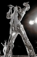 70s Pop Star Rod Stewart in Concert 4x6 Gay Estate Collection