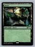 Magic The Gathering MagicFest Cards Forest #006/006 Foil Land MTG TCG CCG