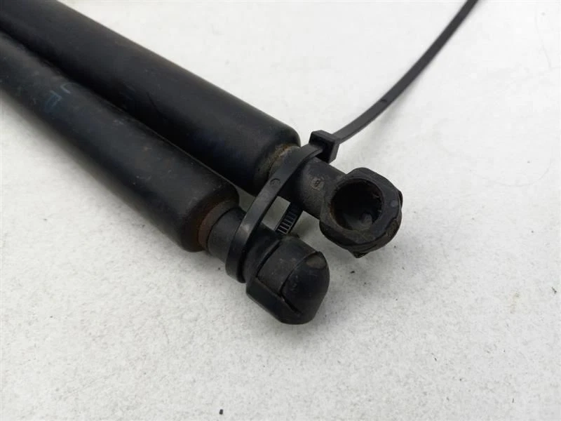 Par de puntales de portón trasero/portón trasero Infiniti G35 2003-2004 Foto 2 de 4