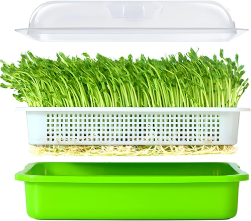 Seed Sprouter Tray Container Wheatgrass Grower Lid Sprouting Bean Mung Bpa Free