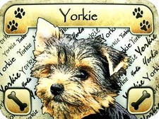 Yorkie Photo Fridge Magnet