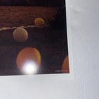 Bild 5 von 7