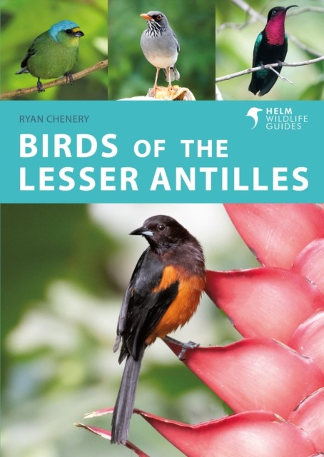 Birds of the Lesser Antilles by Ryan Chenery (Paperback Book)