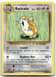 Raticate 67/108 XY Evolutions Rare