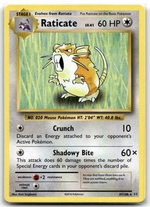 Raticate 67/108 XY Evolutions Rare