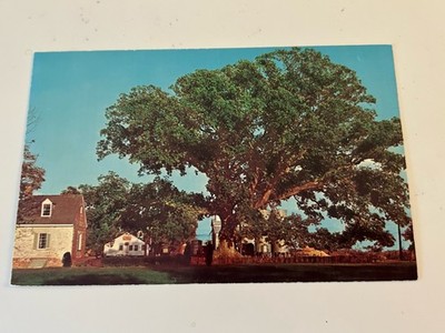 The Wye Oak and Schoolhouse Wye Mills Maryland Postcard