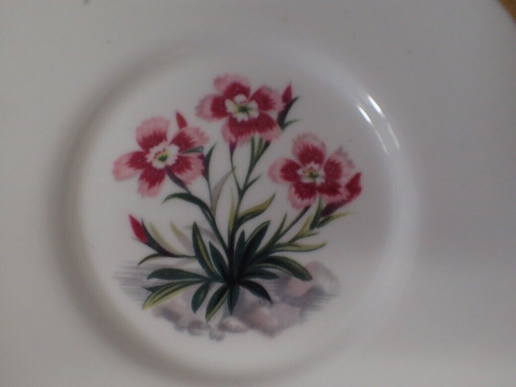 Picture 7 of 19