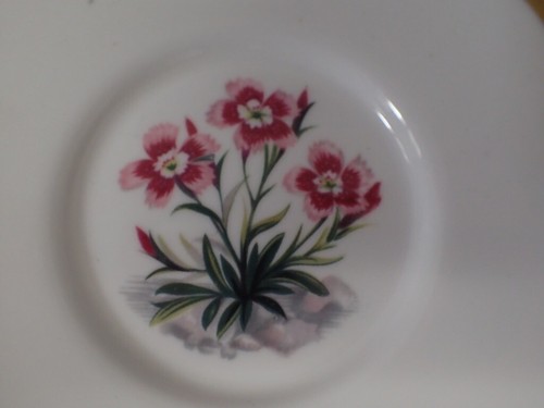 Set of (6) Royal Worcester ALPINE FLOWERS Bone China Demitasse Cups & Saucers - Picture 7 of 19
