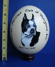Vintage 1998 Boston Terrier Kennel Club Of MD Inc Award Hand Painted Ostrich Egg