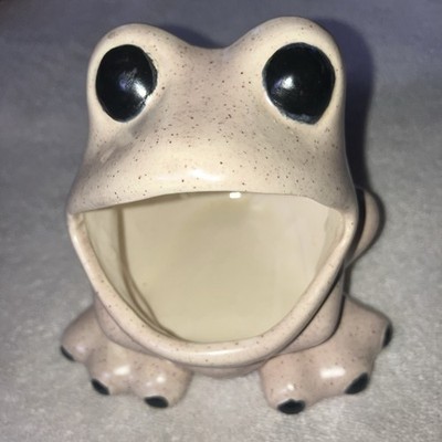 Ceramic Frog Sponge Holder Glazed Big Eyes