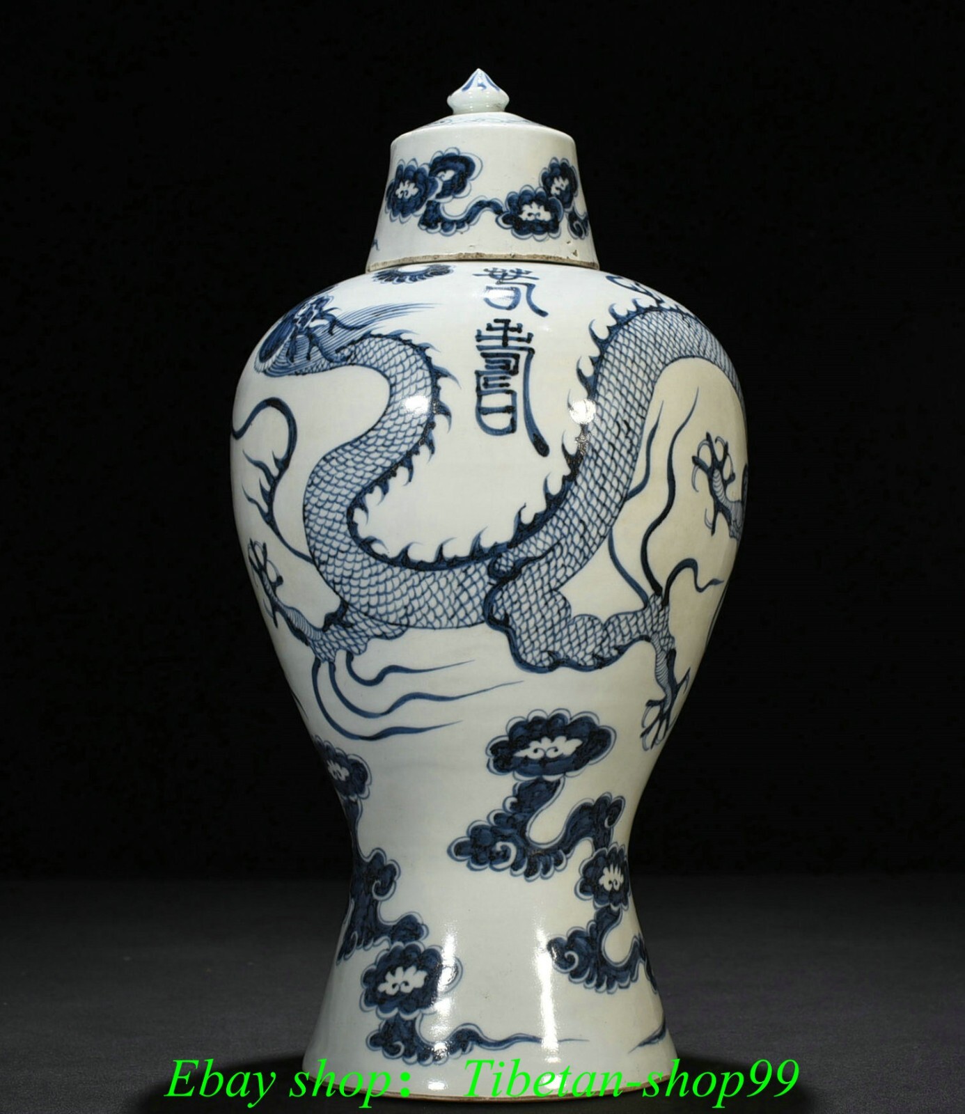 15.7''Ming Hongwu Marked Blue White Porcelain Dragon Loong Flower Bottle Vase